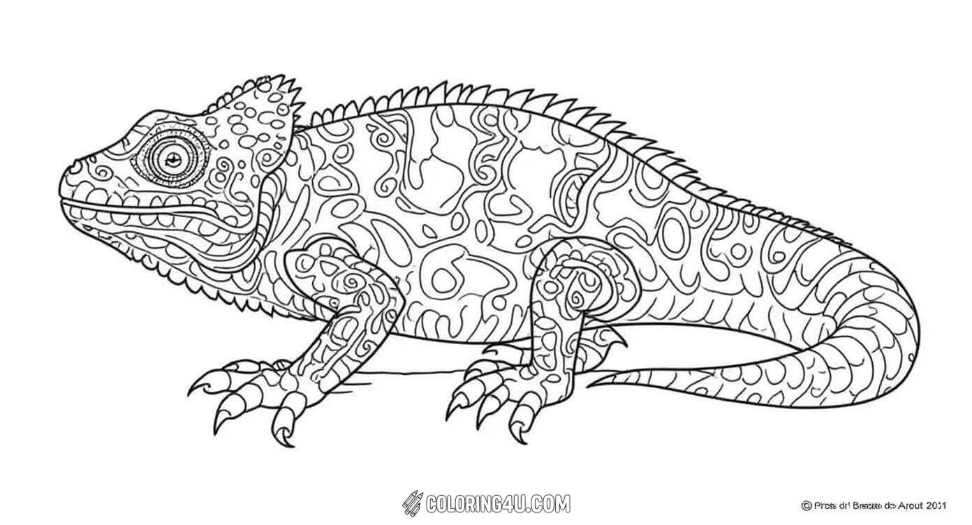 Color this fascinating chameleon adorned with complex mandala patterns that cover its body from head to tail. This page invites kids to explore the unique shape and texture of the chameleon while expressing their imagination through vibrant colors.