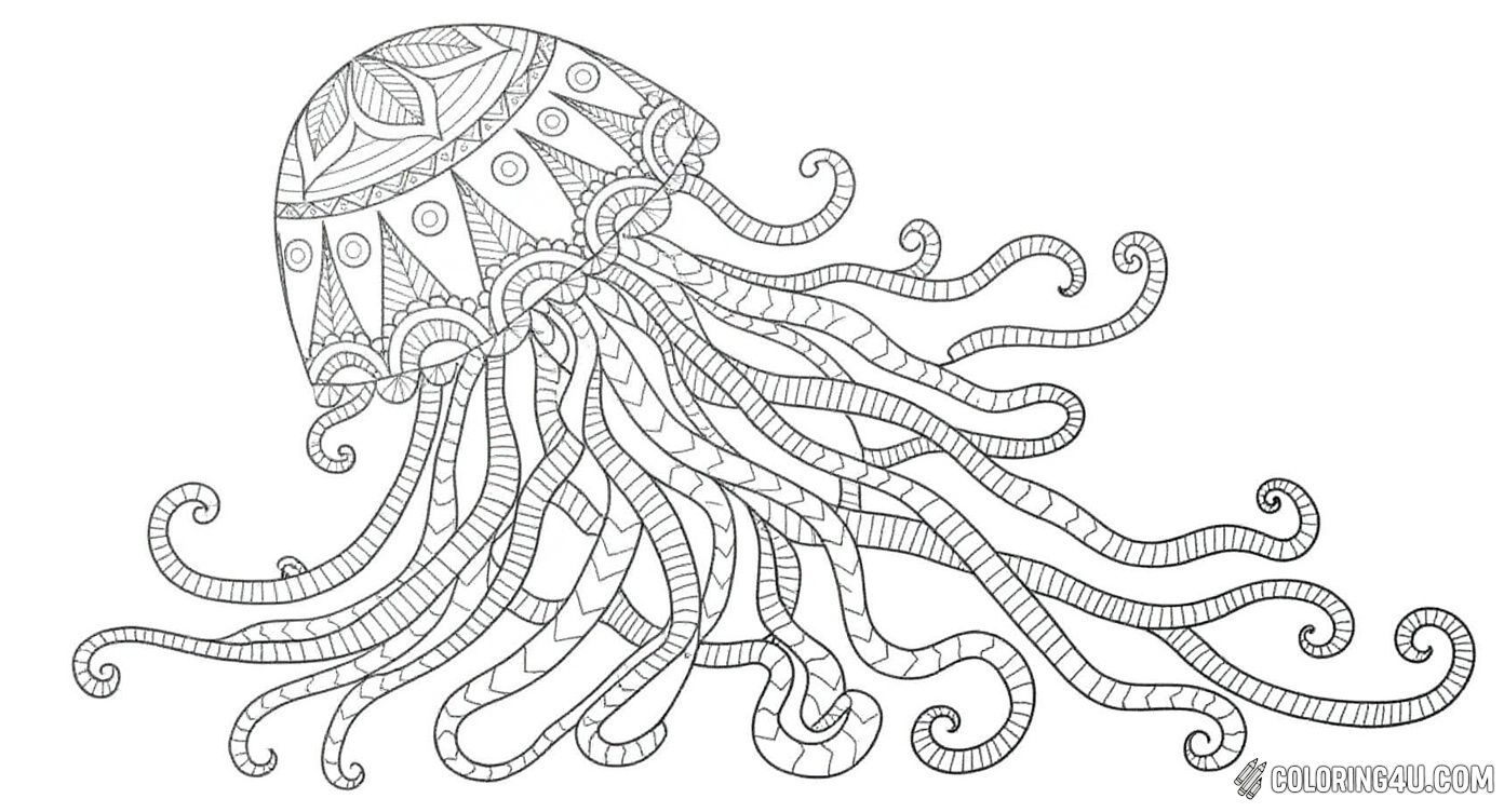 Mandala Jellyfish Intricate Line Art