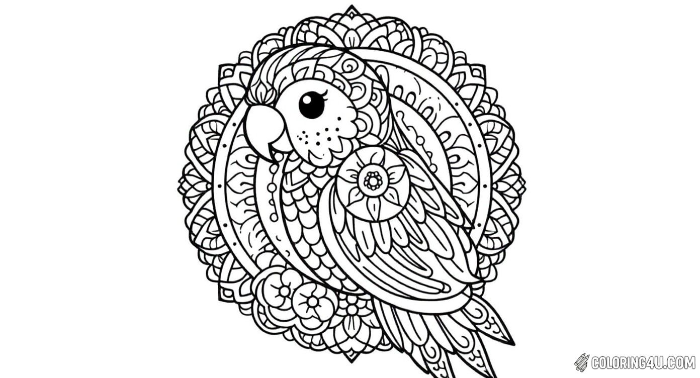 Mandala Parrot Floral Circular Design