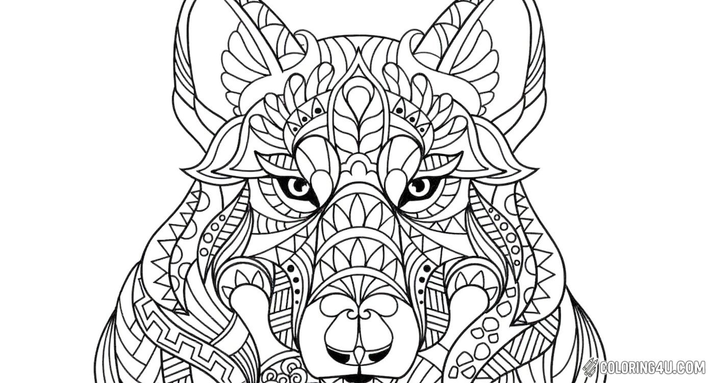 Wolf Mandala Detailed Face Coloring
