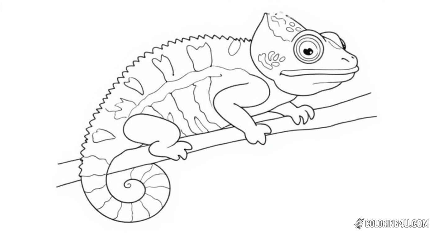 This delightful coloring page features a cute chameleon climbing a narrow branch. With bold outlines and minimal details, it’s an inviting picture for young children to color and learn about this amazing animal’s distinct shape and posture.