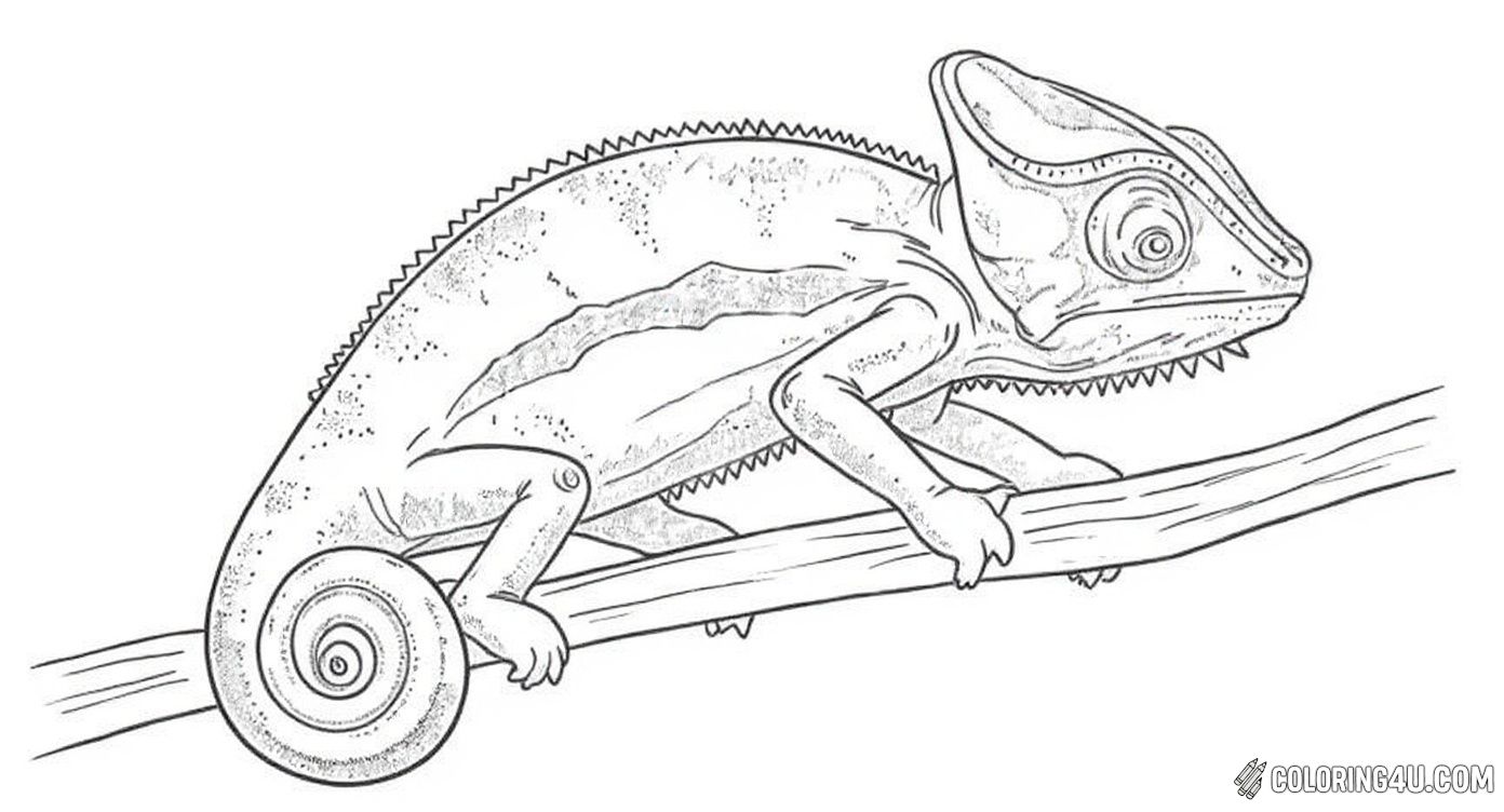 Slow And Steady Chameleon On Branch Kids