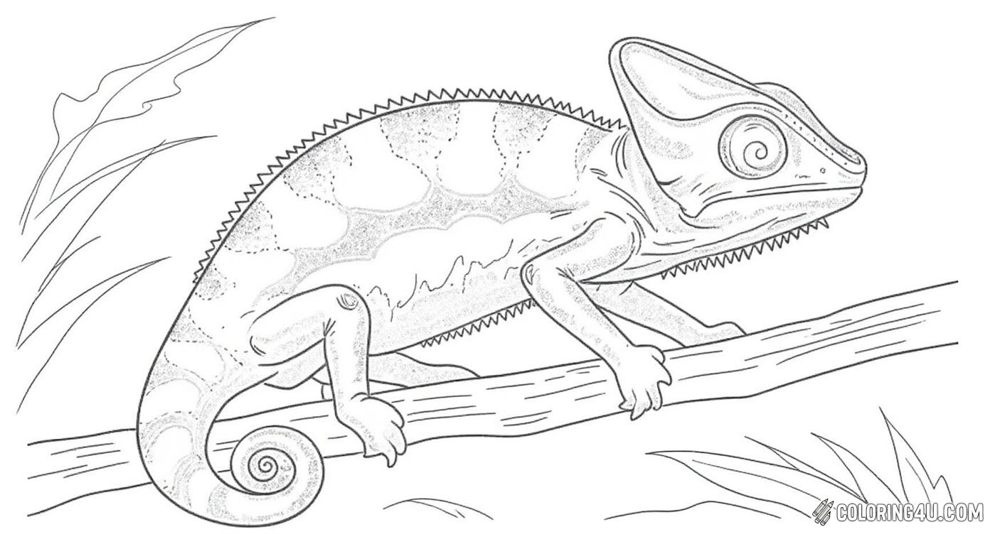 A simple and fun coloring page showing a charming chameleon climbing along a branch. This kid-friendly design from WooColoring.com invites children to bring this slow and steady chameleon to life with bright and beautiful colors.