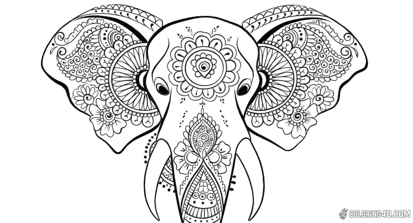 Intricate Elephant Head Design With Floral Patterns