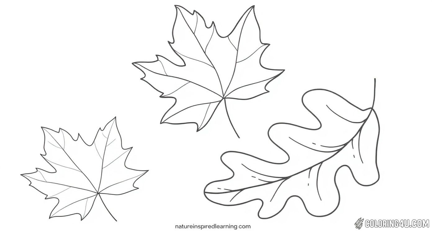 This fun coloring page features the phrase 'L is for Leaf' alongside two detailed leaf illustrations. Perfect for kids to learn about leaves while enjoying coloring, it encourages creativity and nature appreciation.