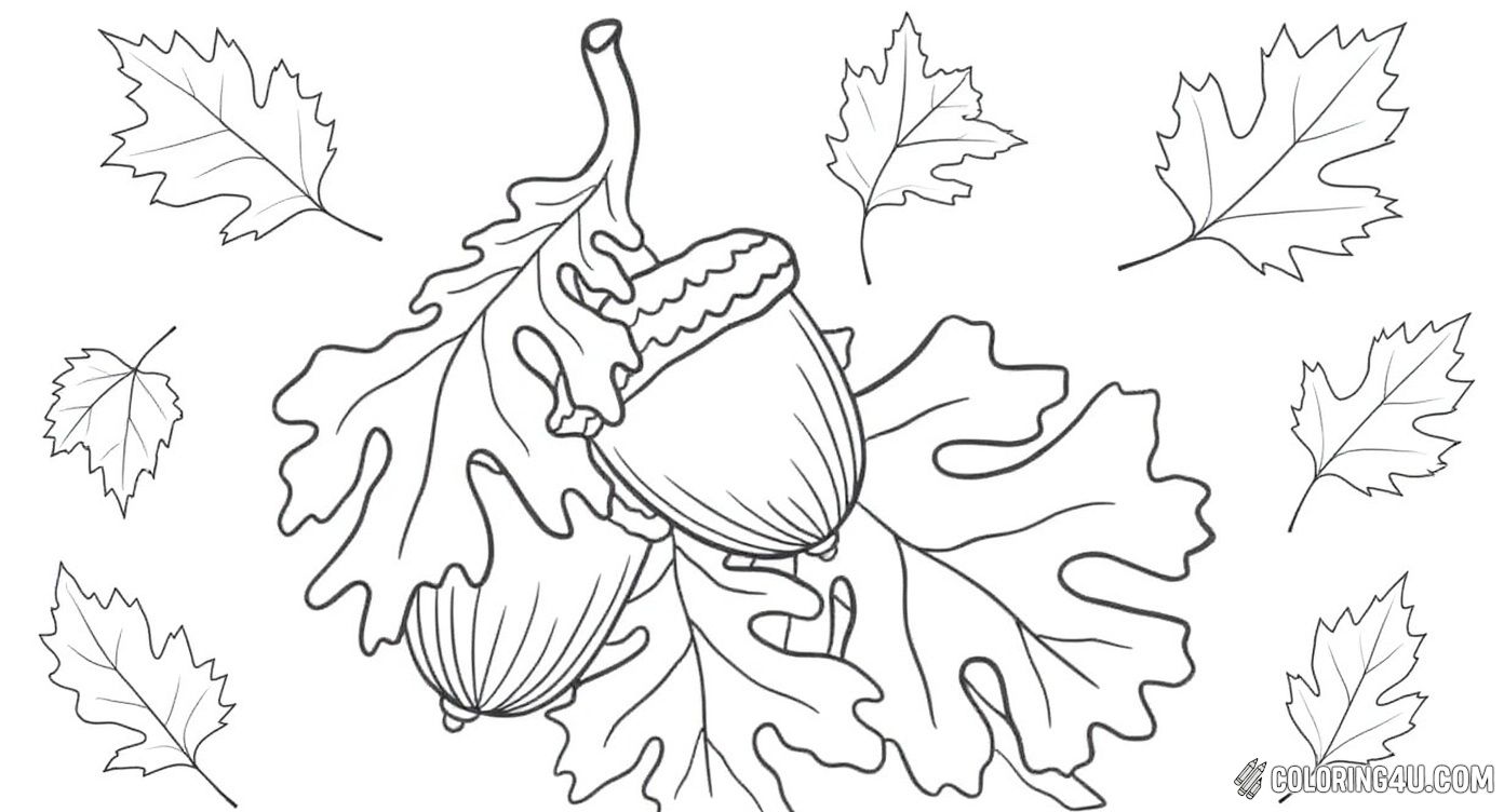 This charming coloring page features two large oak acorns resting on oak leaves surrounded by smaller leaves, offering kids a delightful autumn-themed activity. The simple yet detailed design invites children to explore the textures and shapes found in nature during the fall season.