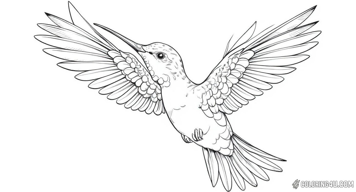 Discover the beauty of nature with this detailed hummingbird coloring page that features a graceful hummingbird hovering near delicate blooming flowers, perfect for kids who love intricate designs and want to bring this lively scene to life with their favorite colors.