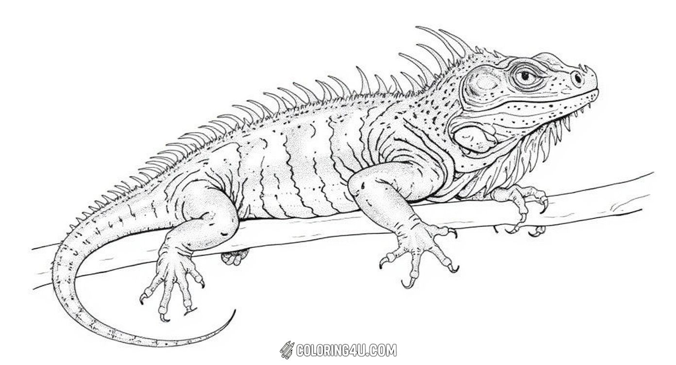 A realistic coloring page depicting a green iguana resting on a tree branch with intricate details of its skin and claws. Kids can enjoy bringing this lifelike iguana to life with their favorite colors while learning about nature.