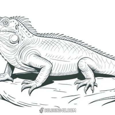 Printable coloring page of Thumb from the Iguana category.