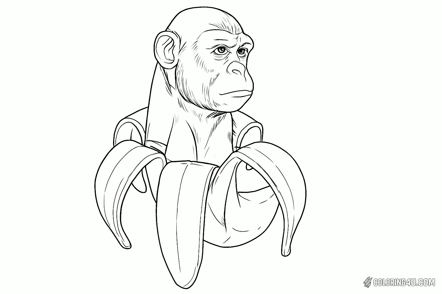 Printable coloring page of Chimpanzini Bananini from the Italian Brainrot category.