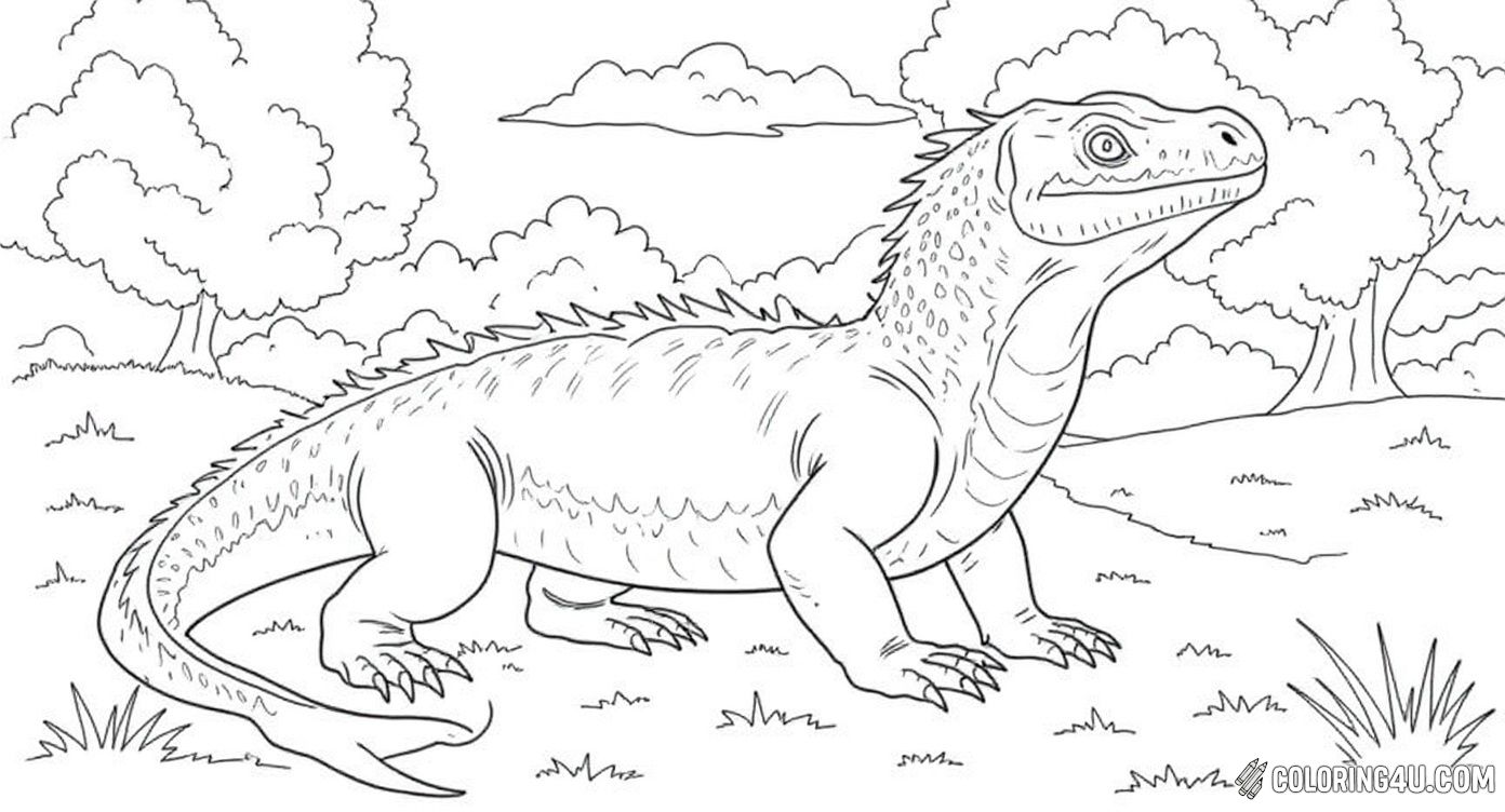 Discover the wonder of the Komodo dragon in its natural habitat! This coloring page shows a majestic Komodo dragon standing upright amongst trees, rocks, and clouds. Kids will enjoy coloring this exciting outdoor scene that captures the dragon’s powerful presence in the wild.