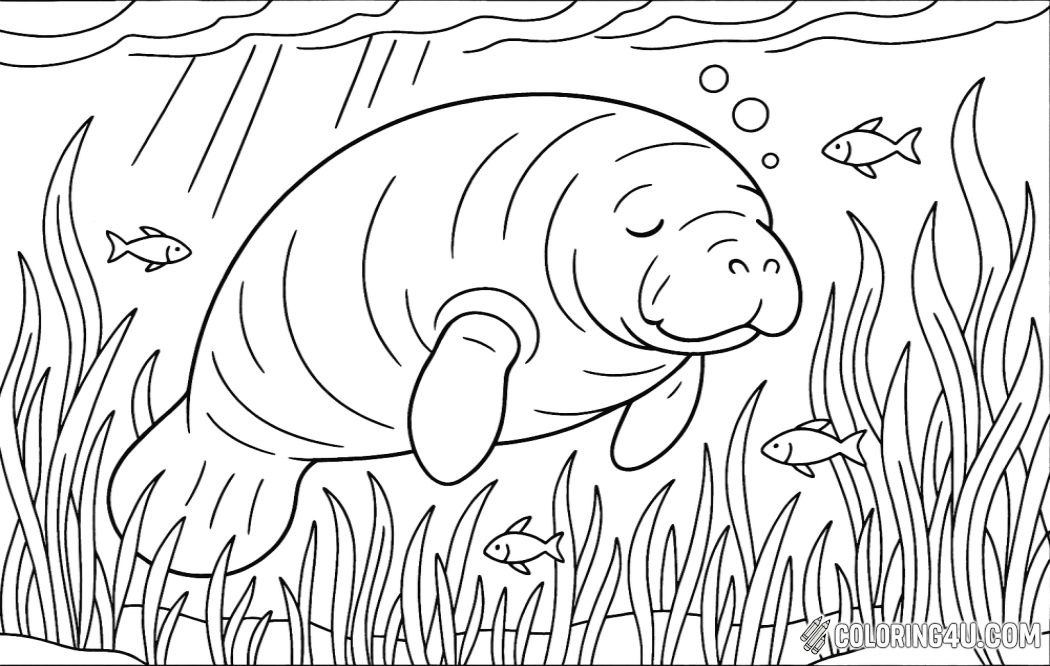 A gentle manatee floating peacefully among lush sea grass. The scene captures the manatee's rounded body partially submerged in clear water, with patches of green seagrass surrounding it. Sunlight filters through the water, creating a serene and calming atmosphere. Small fish can be seen swimming nearby, adding life to the underwater environment. This image celebrates the natural habitat of the manatee and highlights its peaceful demeanor in a vibrant marine ecosystem.