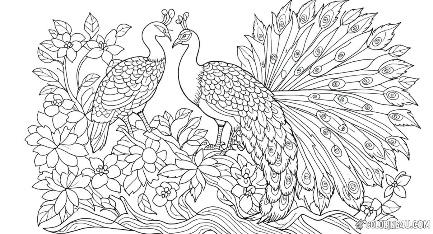 Detailed Peacocks And Flowers Coloring Page