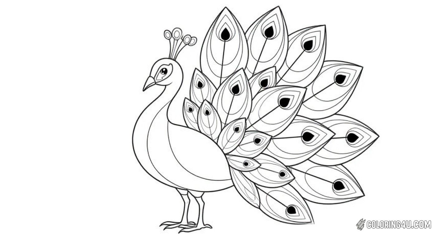Stylized Peacock With Fanned Tail Coloring Page