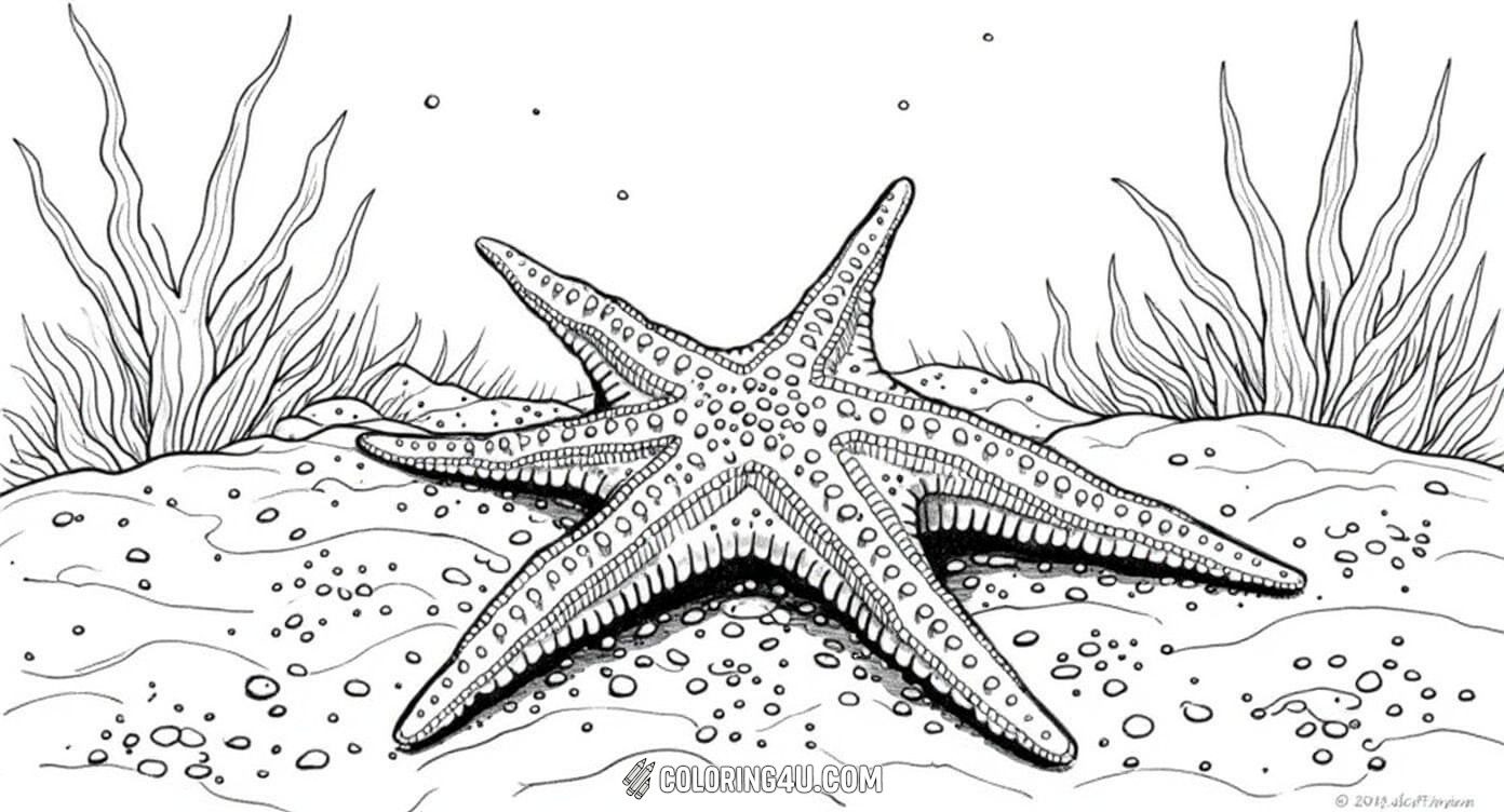 Dive into the ocean with this detailed coloring page showing a realistic starfish resting on underwater rocks, with sea plants swaying nearby and a little fish swimming around. Kids can enjoy bringing this lively underwater habitat to life with their favorite colors.