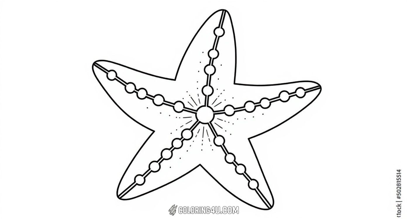 This fun and simple coloring page displays a starfish with decorative bead-like patterns along its arms. It's a great choice for kids to practice coloring within shapes and create their own unique designs on this lovely marine creature.