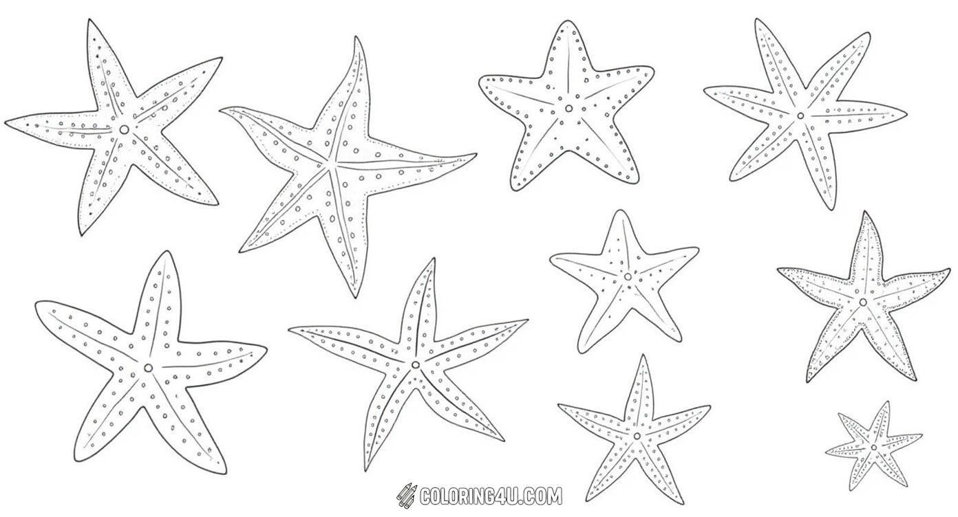This coloring page features six beautifully detailed starfish, each with unique patterns and textures. Kids can enjoy bringing these ocean creatures to life by adding vibrant colors while learning about starfish shapes and details.