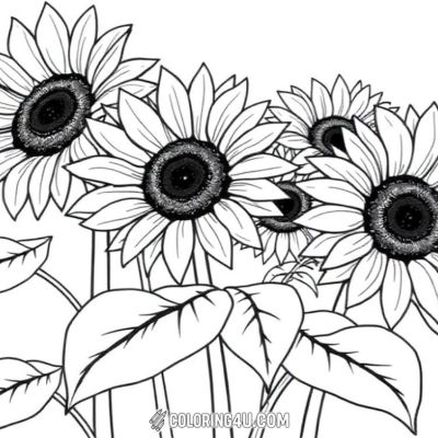 Printable coloring page of Thumb from the Sunflower category.