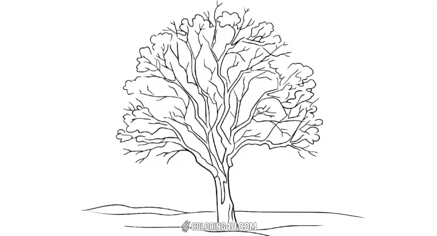 Discover the beauty of winter with this bare tree coloring page, showing a tree stripped of its leaves standing in a calm landscape. Perfect for kids to explore winter themes, this image invites creativity with possibilities to add snowy backgrounds or cozy winter colors while coloring the intricate branches.