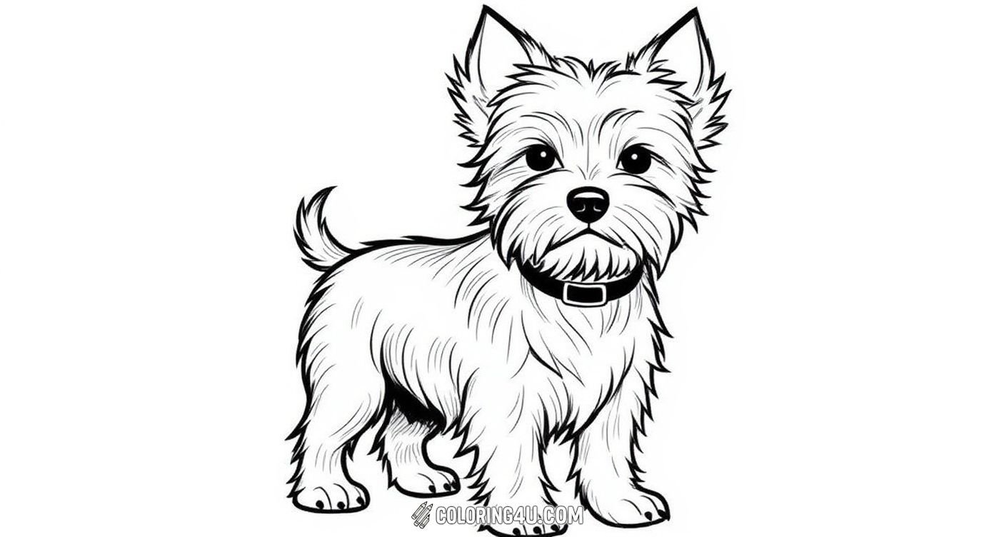 This adorable coloring page features a cute Yorkshire Terrier standing proudly. The detailed fur lines invite kids to bring this playful pup to life with their favorite colors, making it a fun and engaging activity for young dog lovers.